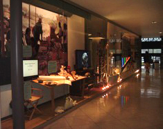 human evolution display